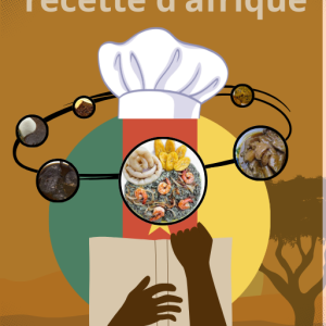 livre de recette camerounaise